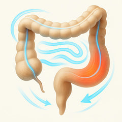 Cow Digestion Problems