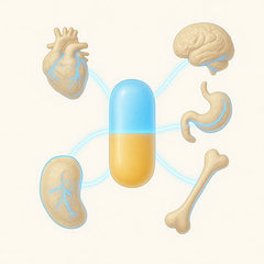 Camel Multivitamins
