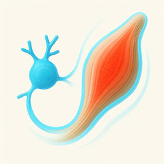 Cow Nerve Problems