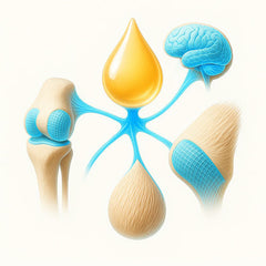 Camel Omega-3 Fatty Acids