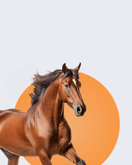 سباقات الخيل