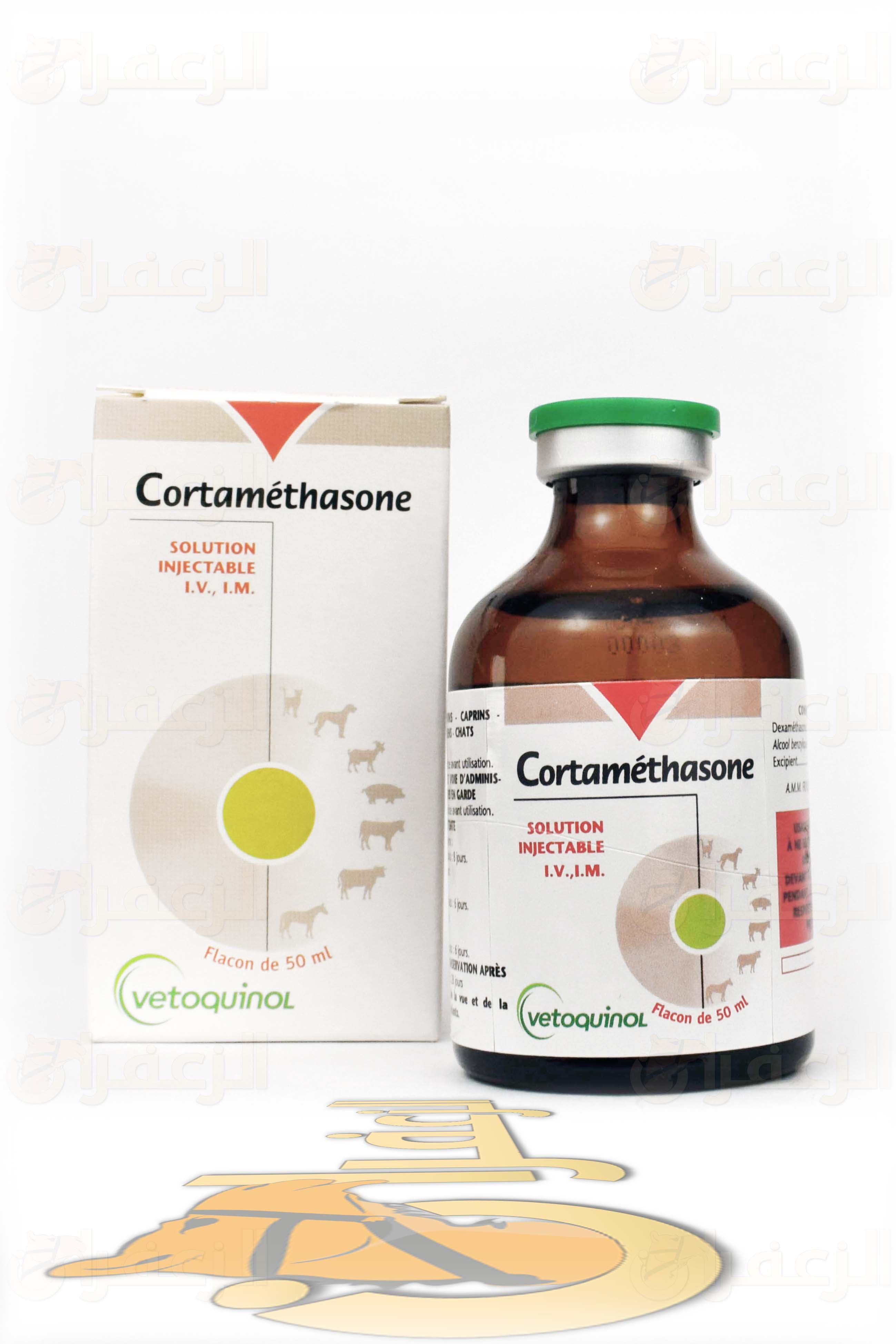 كورتاميتازون \ CORTAMETHASONE - الزعفران