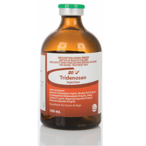 Tridenosen Injection 100mL bottle for horses and camels, ideal for muscle recovery and post-workout inflammation relief in animal care.