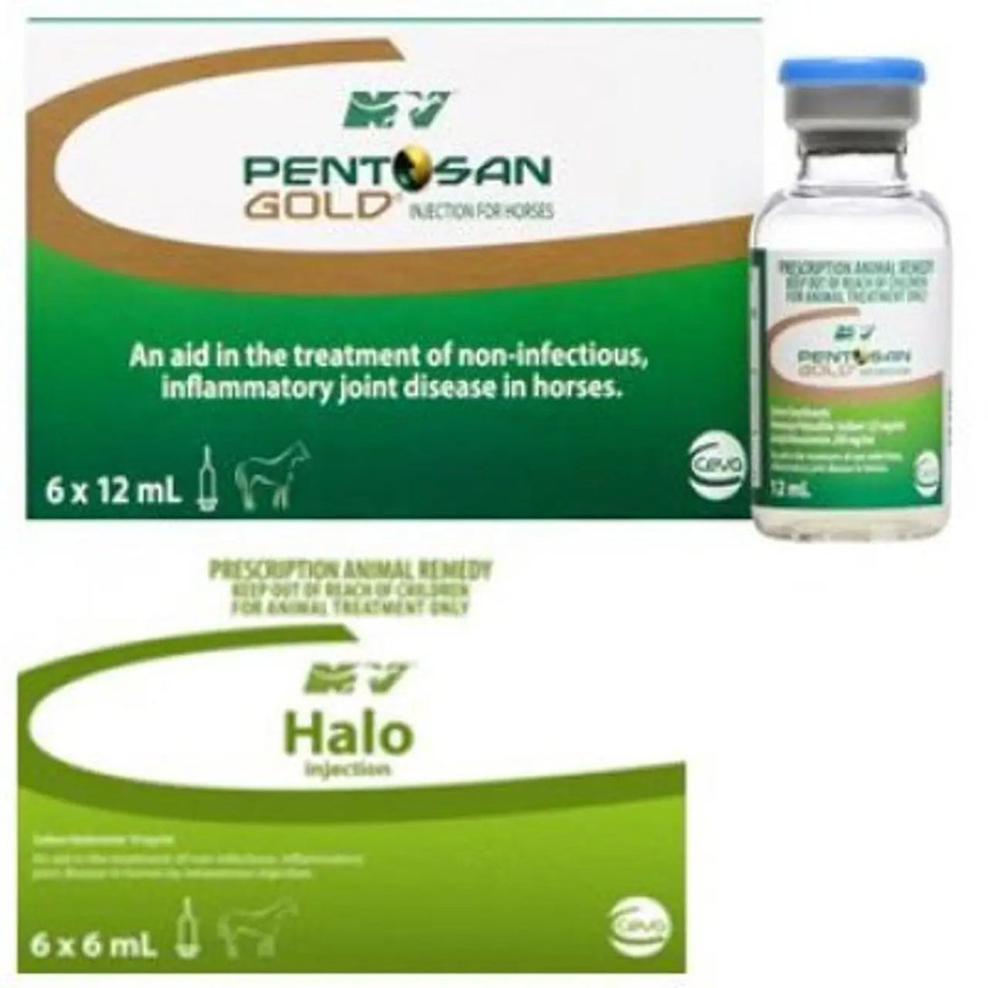 Pentosan Gold and Halo Injection for horses and camels, joint supplement to improve performance and support joint health in animals.