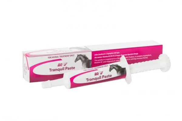 TRANQUIL Paste camel and horse supplement syringe with packaging, promoting relaxation and focus for peak animal performance and recovery.