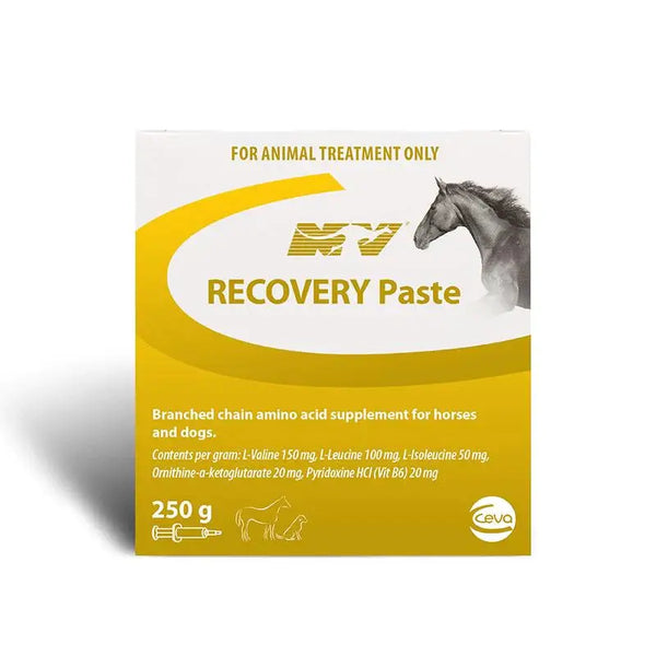 RECOVERY PASTE dietary supplement for horses and camels, supports muscle and nerve recovery post-exercise. 250g tube with amino acids blend.