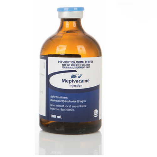 MEPIVACAINE INJECTION for horses and camels, 100ml bottle offering fast-acting local anesthesia for joint, skin, and pain relief treatment.