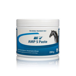 AMP-5 Paste 250g supplement for horses and camels, boosts energy and muscle performance. Ideal for animal endurance enhancement.