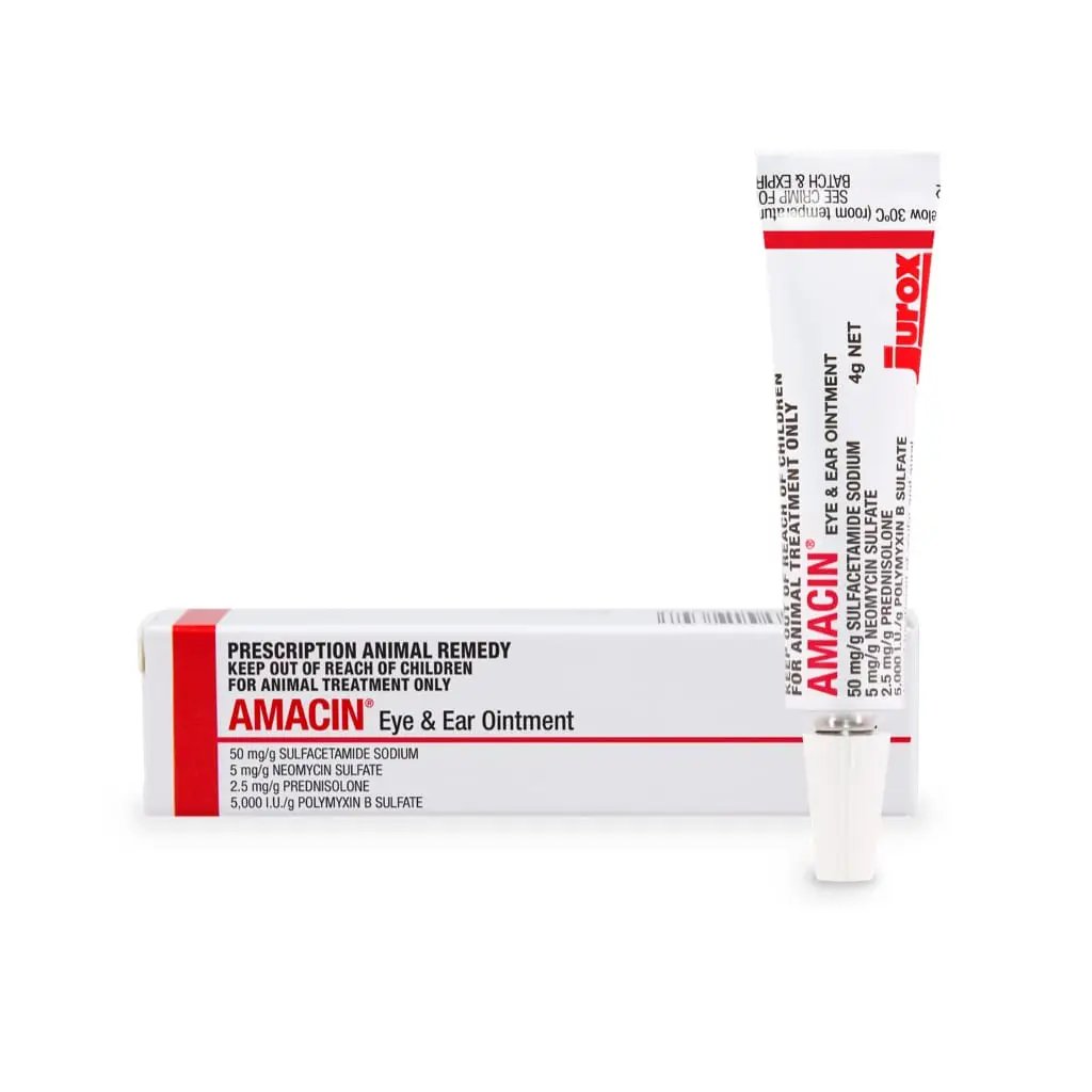 Amacin antibacterial anti-inflammatory ointment for pets, 4g tube with box, treats eye and ear infections in dogs, cats, and horses.