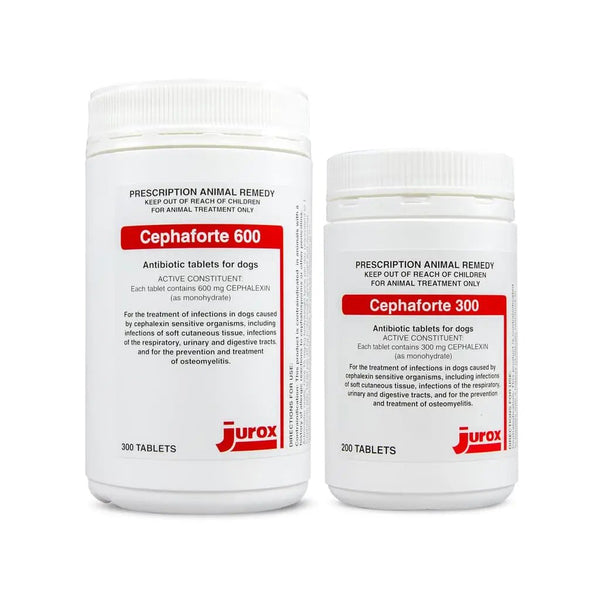 Cephaforte 600 and 300 Cephalexin tablets for dogs by Jurox, broad-spectrum antibiotic for treating skin, respiratory, and urinary infections.
