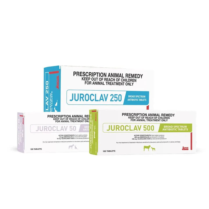 Juroclay pet supplements with amoxicillin and clavulanic acid, effective for respiratory and skin infections in dogs, cats, cows, and sheep.
