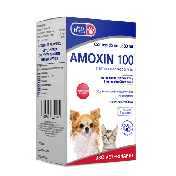 Amoxin 100 - Amoxicillin Bromhexine for Pets | Respiratory Relief, 30ml oral suspension for dogs and cats. Treats respiratory infections effectively.