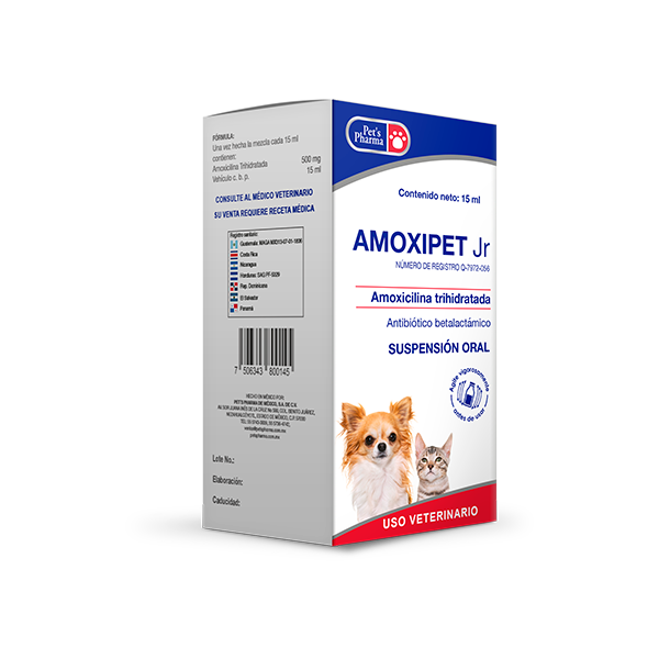Amoxipet Jr - Amoxicillin for Small Pets oral suspension box for cats and small dogs. Effective antibiotic for respiratory, urinary, and skin infections.