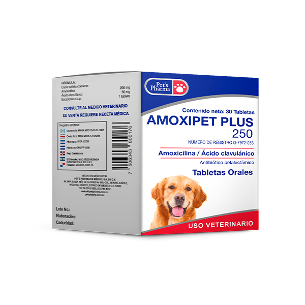 Amoxipet Plus 250 pet antibiotics box with 30 tablets, featuring Amoxicillin and Clavulanic acid for treating resistant infections in dogs and cats.