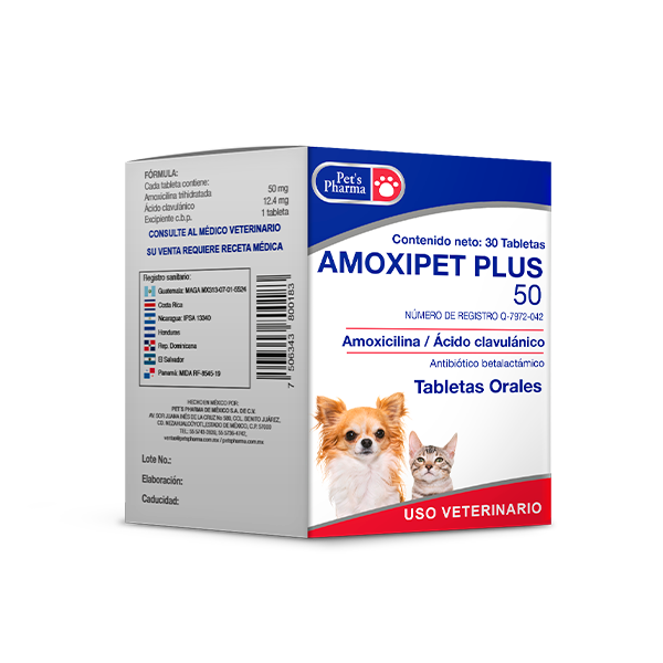 Amoxipet Plus 50 antibiotic tablets for pets, designed for fast recovery from bacterial infections in cats and dogs. Oral veterinary supplement.