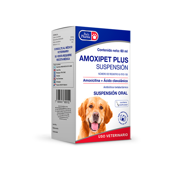 Amoxipet Plus Suspension 60ml for pets by Pets Pharma, oral antibiotic with Amoxicillin and Clavulanic Acid for treating dog infections.