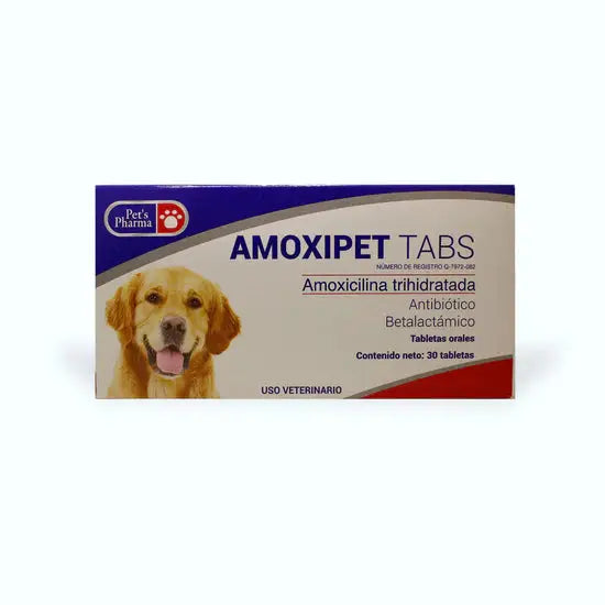 Amoxipet Tabs Amoxicillin 250 mg for pets in box packaging with dog image, used to treat infections in cats and dogs. Ideal for skin, urinary, and respiratory issues.