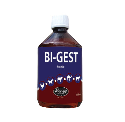 BI GEST 500ml nutritional supplement for animals, supports recovery with essential vitamins, minerals, and amino acids for pet health.