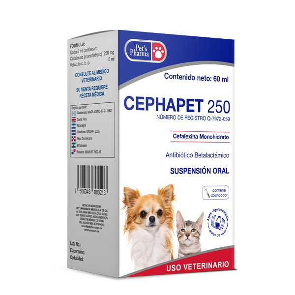 Cephapet 250 oral suspension for pets, 60ml antibiotic treatment for dogs and cats. Broad-spectrum relief for skin, respiratory, and urinary infections.