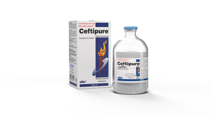 Ceftipure 100ml injection bottle and box, a veterinary antibiotic for cattle, camels, and horses to treat respiratory and bacterial infections.