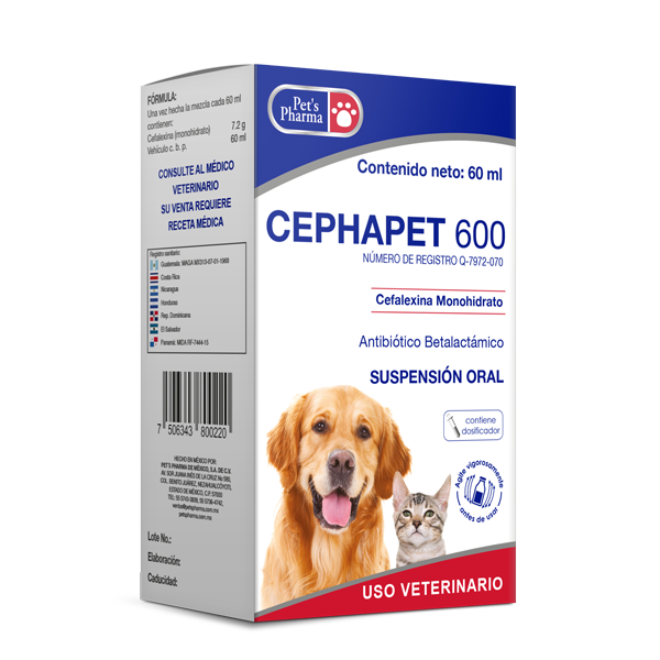 Cephapet 600 oral suspension for pets by Pet's Pharma, broad-spectrum antibiotic with cephalexin for treating infections in dogs and cats.