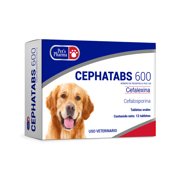 Cephatabs 600 pet antibiotic tablets for dogs, broad-spectrum cephalosporin for skin, urinary, and respiratory infections. Veterinary use only.