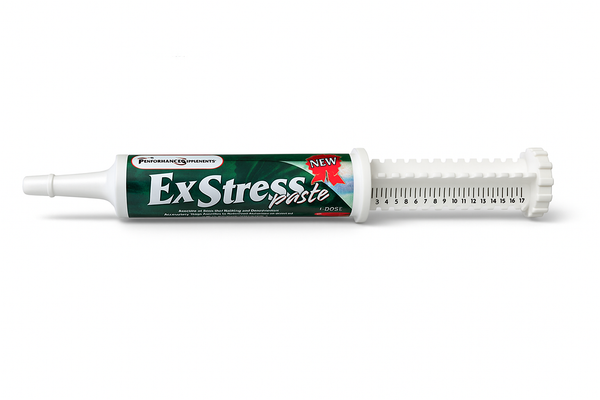 Ex Stress Paste