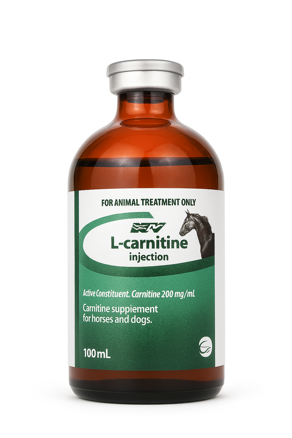 L-CARNITINE injection 100mL bottle for horses and dogs, used for fat burning and muscle support in animal supplements.