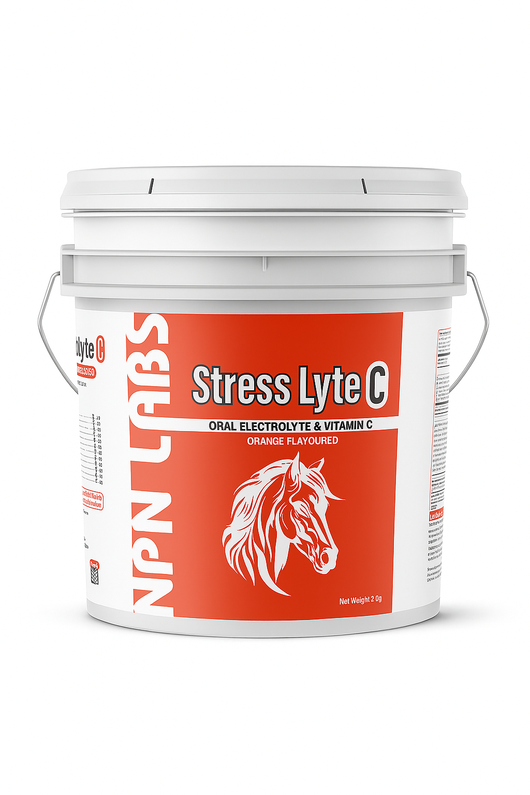 Stress Lyte C oral electrolyte and Vitamin C supplement in a large white container, formulated for camels, horses, and livestock to aid rapid rehydration.
