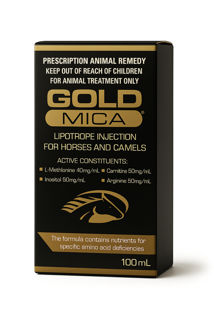 Gold Mica lipotrope injection for horses and camels, 100mL supplement with L-Methionine, Carnitine, Inositol, and Arginine for energy and health.