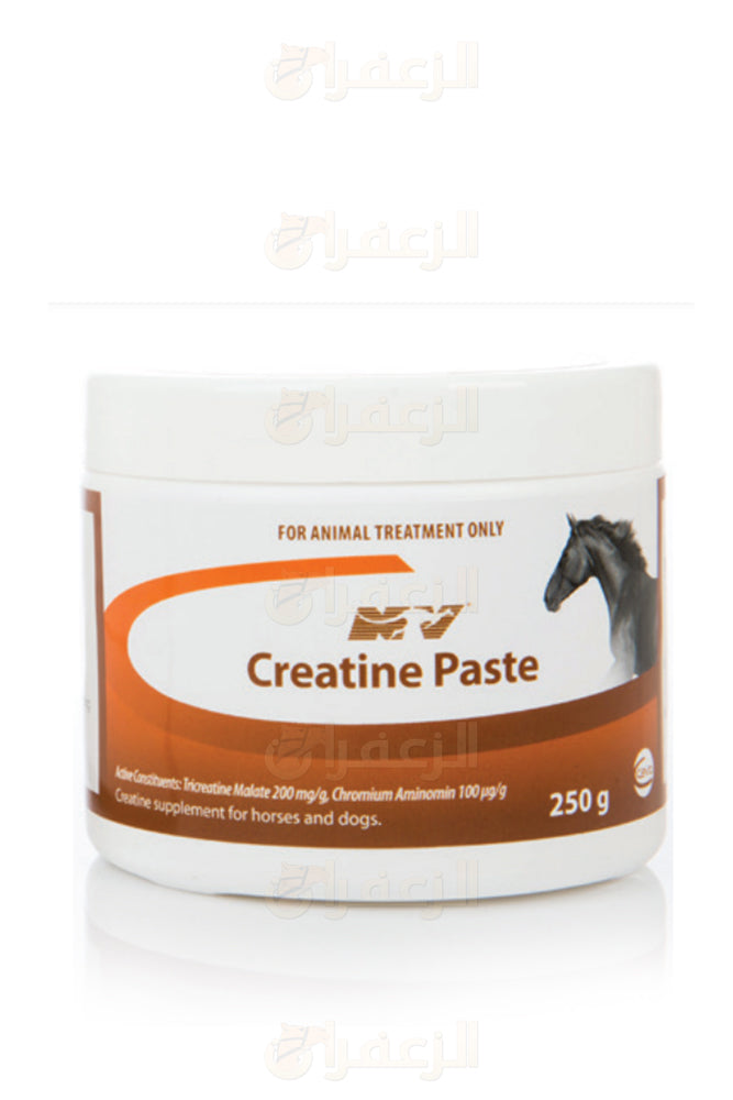 CREATINE PASTE dietary supplement for horses and camels, 250g container with horse image, boosts muscle energy and performance.