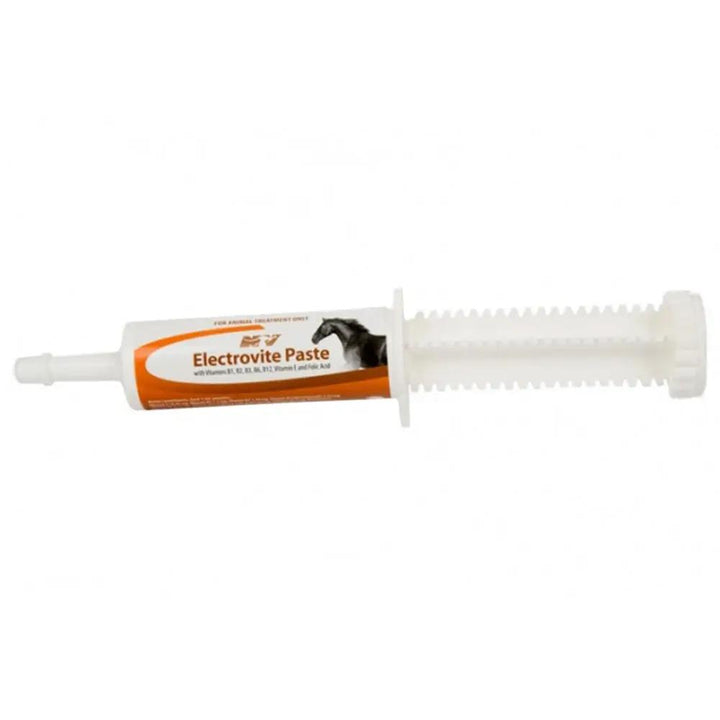 ELECTROVITE PASTE camel and horse supplement syringe for replenishing essential salts and vitamins, ideal for recovery and hydration support.