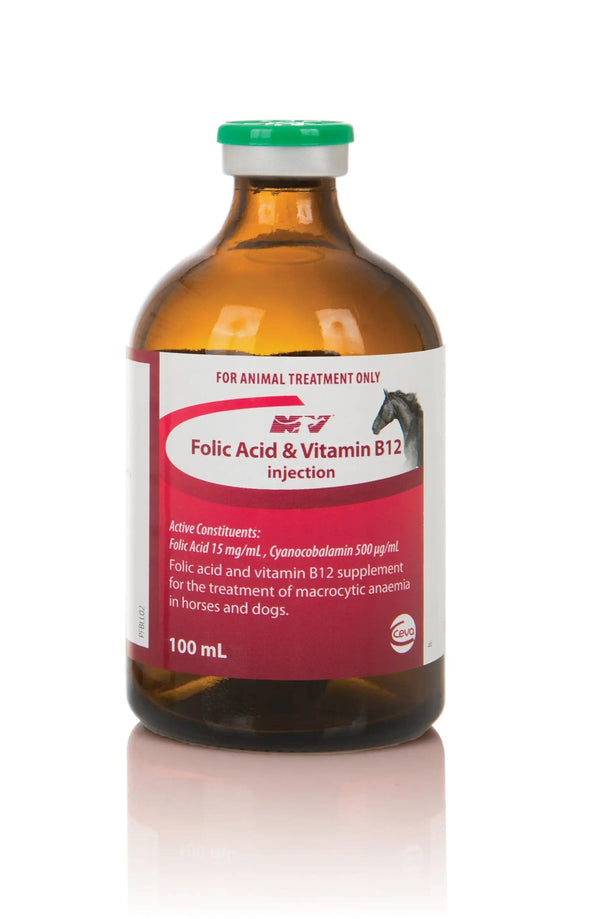 Vitamin B12 / Folic Acid Injection for racing horses and camels in a 100mL brown veterinary bottle. Boosts performance and supports body functions.