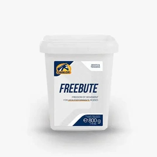 FREE BUTE POWDER 800g container by Cavalor for joint and muscle support in high-performance horses. Ideal for improving equine mobility.