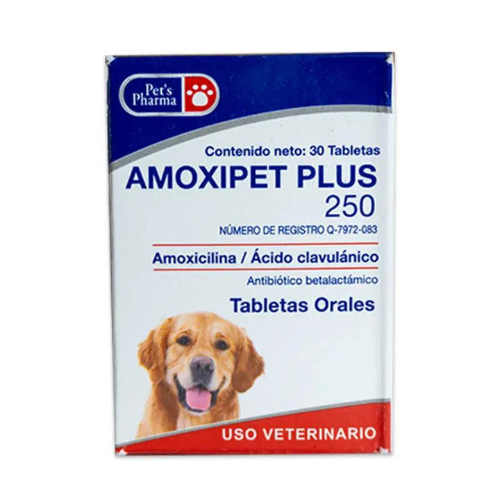 Front view of Amoxipet Plus 250 oral tablets packaging for pets, designed to combat UTIs and skin issues in dogs using Amoxicillin blend.
