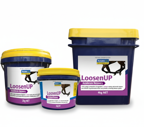 LoosenUP