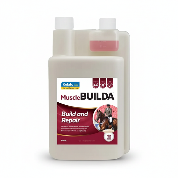 MuscleBUILDA 946mL