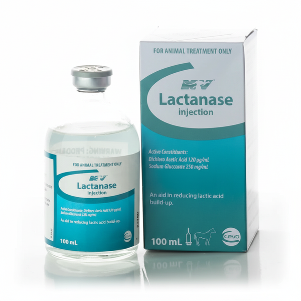 Lactanase Injection