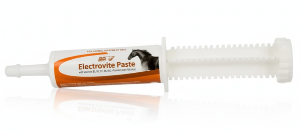 Electrovite Paste