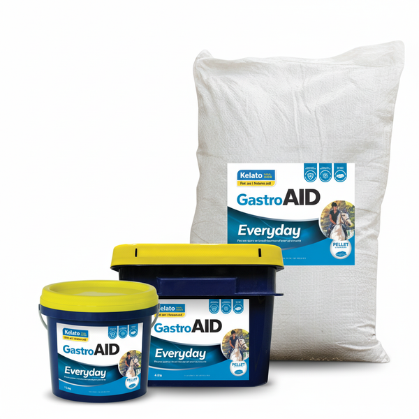 Gastro Aid Everyday