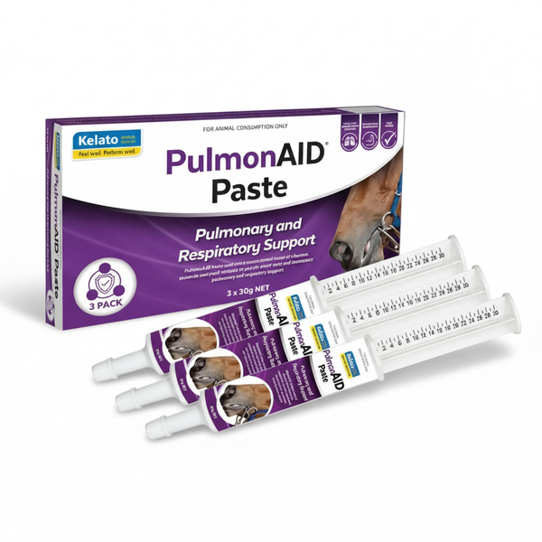 PulmonAID Paste – 3 Pack