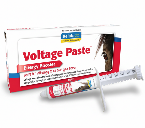 Voltage Paste 32g
