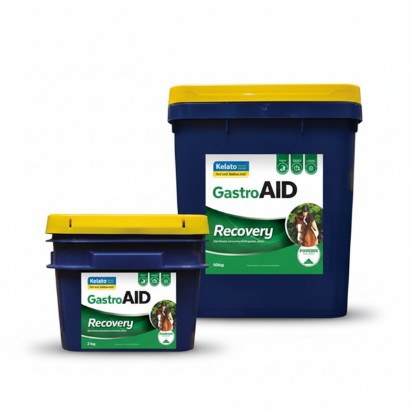 Gastro Aid Recovery Powder