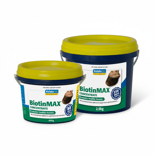 BiotinMAX Concentrate
