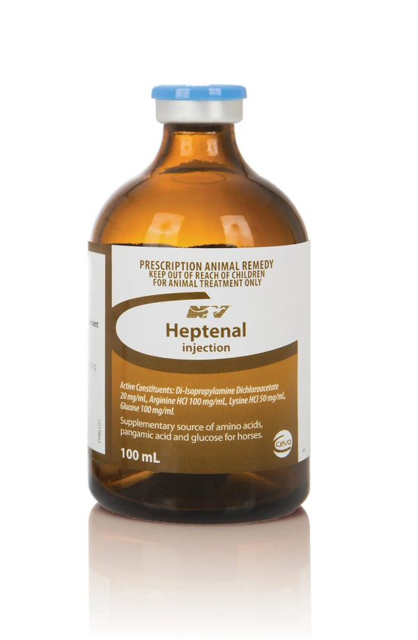 HEPTENAL INJECTION anti-inflammatory drug for horses and camels, 100mL bottle with active amino acids for liver and joint health support.