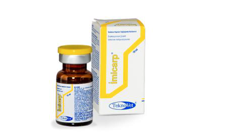 IMICARP veterinary medical syringe by TeknoVet for horses and camels, shown with labeled brown vial and packaging box. Ideal for antiparasitic treatment.
