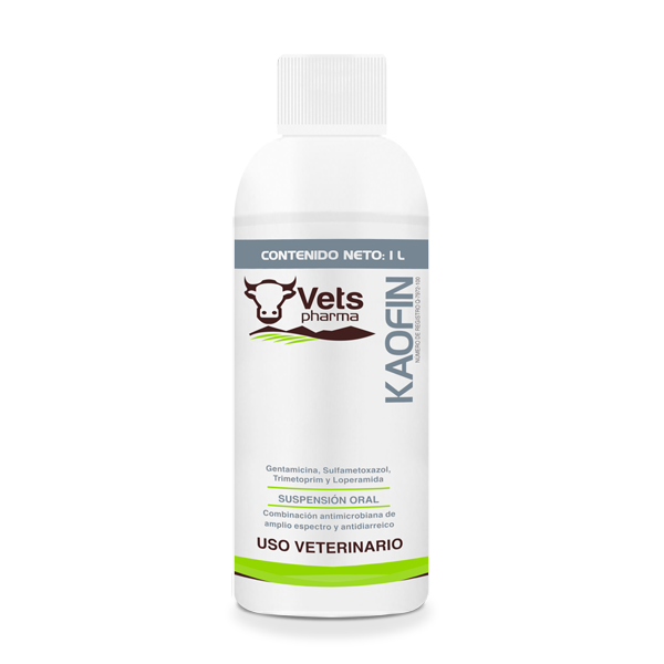 Kaofin pet supplement by Vets Pharma, broad-spectrum antidiarrheal with gentamicin and loperamide for treating gastrointestinal issues in animals.
