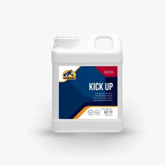 Kick Up horse energy supplement by Cavalor in 1L bottle, supports vitality and freshness in calm or low-energy horses. Enhances condition and performance.