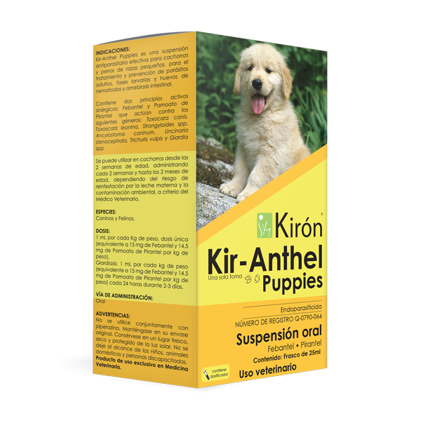 Kir-Anthel Puppies dewormer liquid for dogs in 25ml bottle, featuring a golden retriever puppy on yellow and green packaging. Targets roundworms and hookworms.