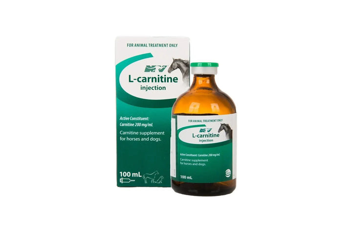 L-Carnitine injection 100mL with packaging, camel and horse supplement for enhanced energy and muscle support in animal athletes.